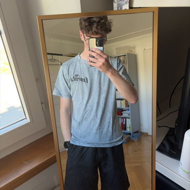 Ementa SB Grey T-shirt