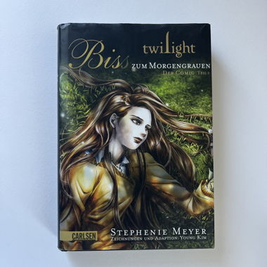 Twilight Comic
