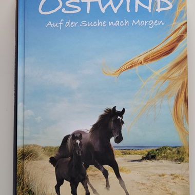 Ostwind Auf der Suche nach Morgen