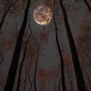 moonmarket