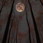 moonmarket