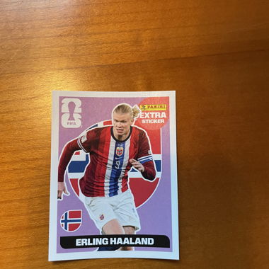 Adesivo Panini Haaland. (Raro)