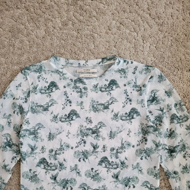 semi-transparent shirt