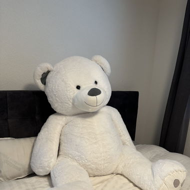 XXL Teddybär - Neu!