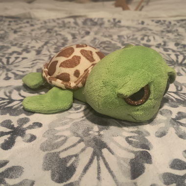 Plush Turtle Toy