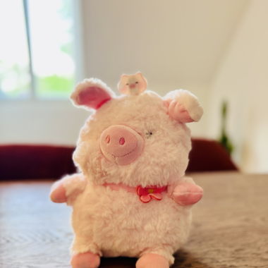 Plush toy - piggy, brand new with tag