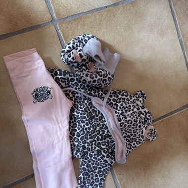 Ensemble 