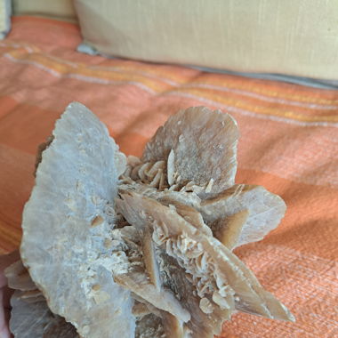 Rose des sables