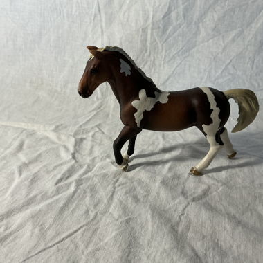 Statuea Cavallo Pinto