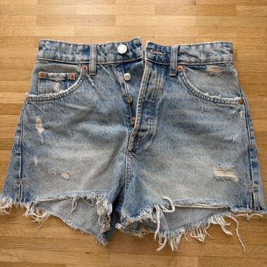 Zara Shorts