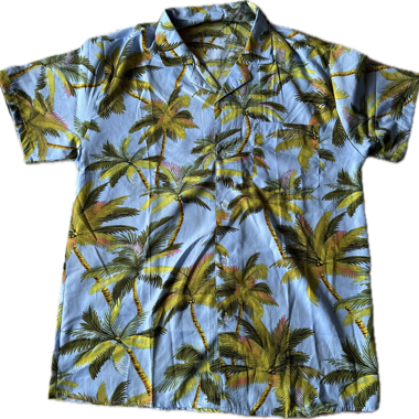 Camicia hawaiana M