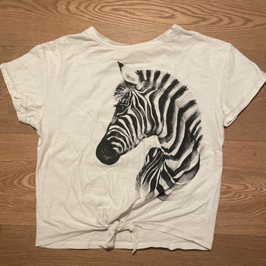 Vintage Zebra T-Shirt
