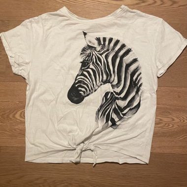 Vintage Zebra T-Shirt