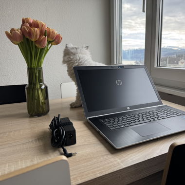 HP ProBook 470 G5 Notebook PC
