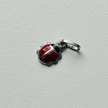 Piccolo Ciondolo Coccinella Carino