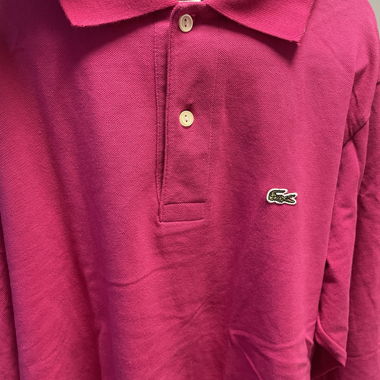 Set: GANT sweater, 2 LACOSTE polos and blue Bershka