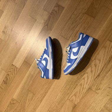 Nike Dunk Size 42