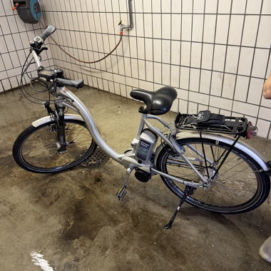 Flyer E-Bike 3600km / 25kmh