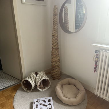 Cat set with scratching post