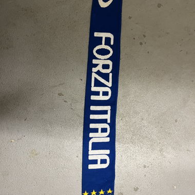 Forza Italia Fan Scarf