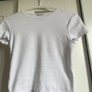 basic t-shirt