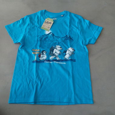 Boy's T-shirt, 10 years