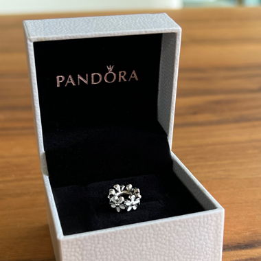 Charm Pandora