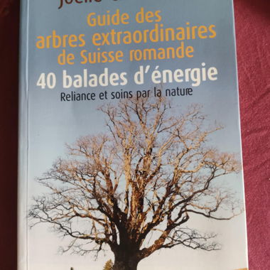 Führer zu den aussergewöhnlichen Bäumen der Romandie