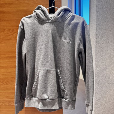 Carhartt Hoodie grau