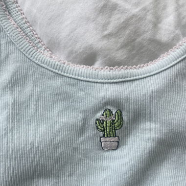 Top with cactus