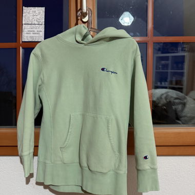 Champion Hoodie türkis