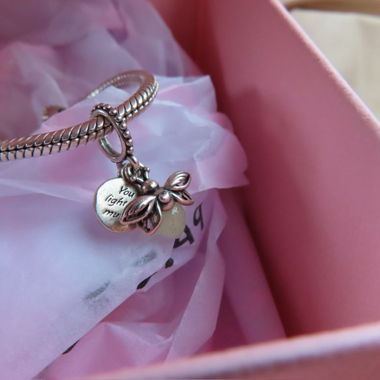 Pandora Charm Bracelet