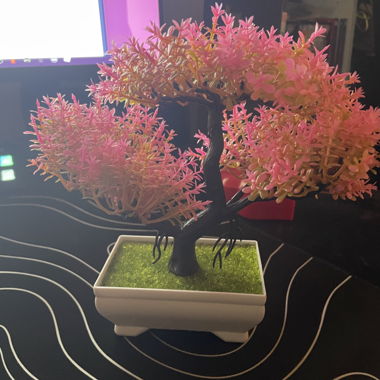 Plastic Fake Sakura Tree for Decoration