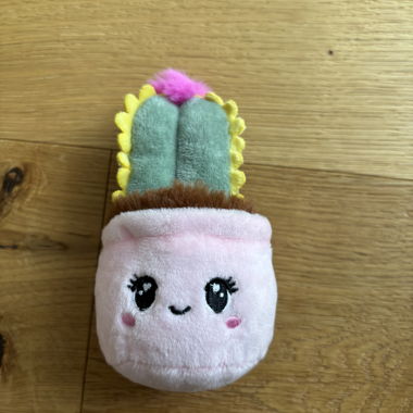 Pink Plush Cactus