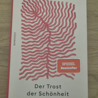 BOOK Comfort of Beauty
