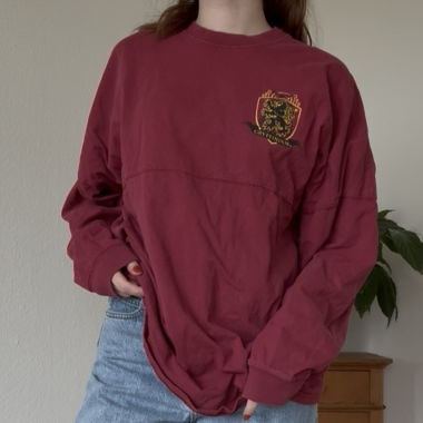 Harry Potter Pulli (Gryffindor)