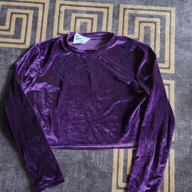 Violet Velvet Crop Top