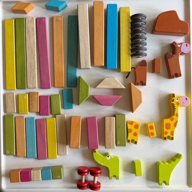 tegu Magnetisches Holzspielzeug
