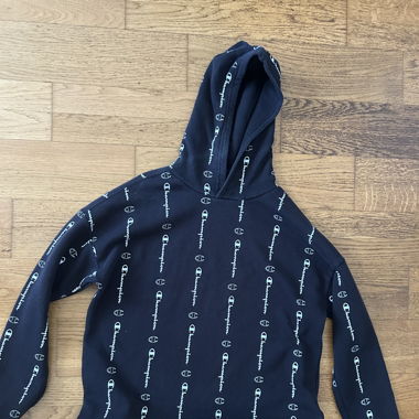 Champion Hoodie