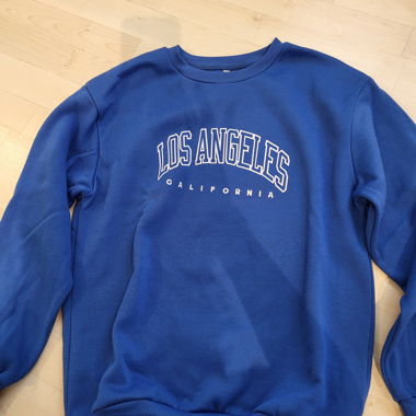 Blue Sweatshirt