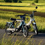 HansderGrosse