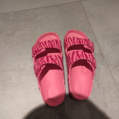 Pink Zebra Slides
