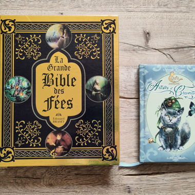 Lotto libri Fantasy 