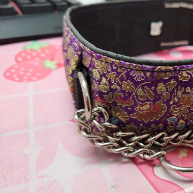 Halsband mit Zugstopp-Kette