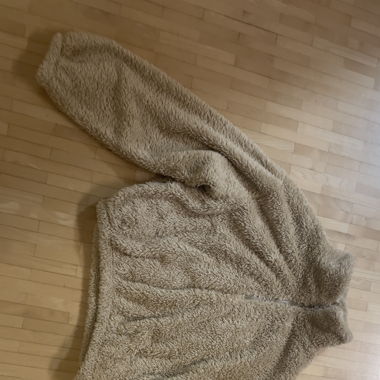 Teddy Pulli