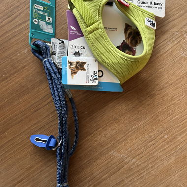 Dog Leash & Harness Set