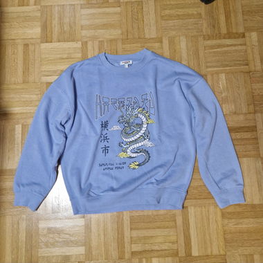 Blauer pullover
