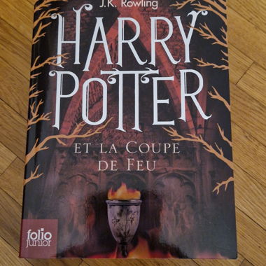 Harry Potter (Book 1 and 4)