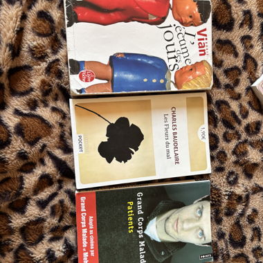 Set mit 3 französischen Taschenbüchern