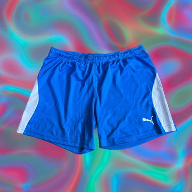 puma shorts